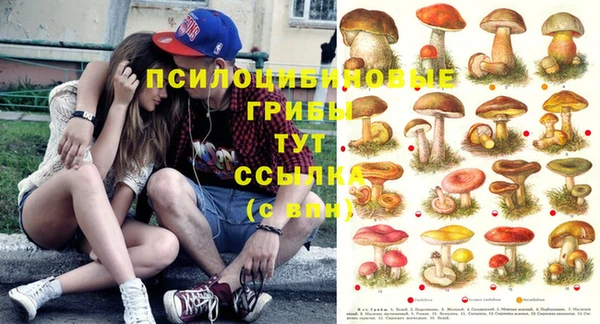 Альфа ПВП Весьегонск